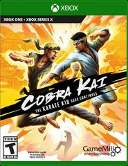 Cobra Kai: The Karate Kid Saga Continues product image